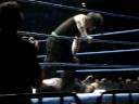 Cisne Senton Bombazo Cisne Senton Bombazo