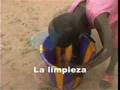 Tchimpounga - Comparativa chimpancé - humano