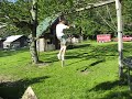 Finally... I did a trick...