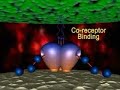 HIV virus HIV virus