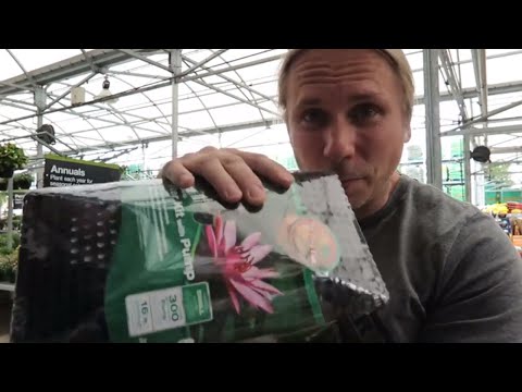 YouTube reptile video