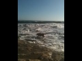 iPhone video test at the beach