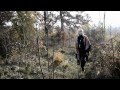 Bunny Lake Young Lovers Official Music Video and Lyrics