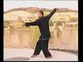 this pigua is from gansu province. the performer is zhou jian rui and his skill is apparent. this is actually from bailewen's account and i made the clip shorter. you can find this vcd on plumpub.com or cmaod.com (more)