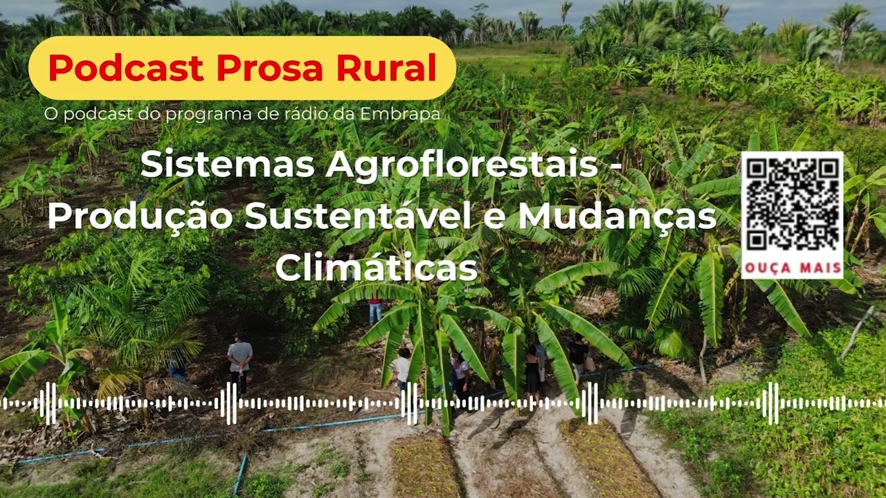 Sistemas Agroflorestais (SAFs): Produção Sustentável e Mudanças Climáticas