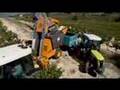 CLAAS NECTIS VE/VF/E SERIES ORIGINAL VIDEO...!!!