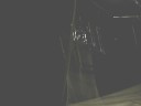 monteiro x mico.wmv monteiro x mico.wmv
