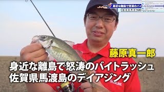 藤原真一郎がデイアジングの釣り方教えます！佐賀県馬渡島