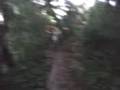 videos de galera da trilha de gba 2