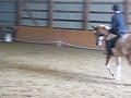 Horse Riding
