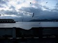 San Francisco -- Queen Anne Hotel &Fisherman's Wharf