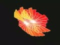 Gurbani Visualizations
