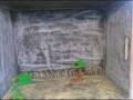 videos de Animal Farm 2A