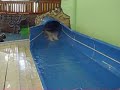 wasserrutsche wasserrutsche