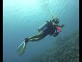 Scuba diving in Maldives, Philip Habacon Films (Maska reef)