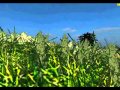 Procedural generation and animation techniques for vegetation