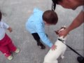 Kaiser and The Children