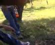 Practicas de Geomatika