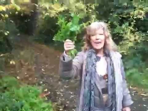 how to harvest cress