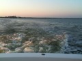IMG 0381