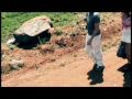 Milk Inc - Land Of The Living Milk Inc - Land Of The Living