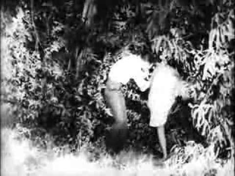 Image de prévisualisation YouTube