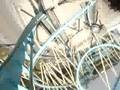 Kraken - Sea world - Roller Coaster