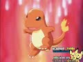 Pokemon Multilanguage (1st Opening - Indigo League) Pokemon Multilanguage (1st Opening - Indigo League)