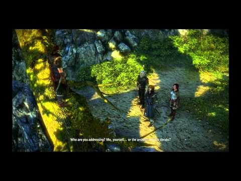 The Witcher 2 : Assassins of Kings