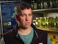 Sex and the Suburban Frog