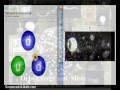 The Occult hiding of the Fractal Universe