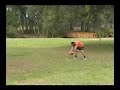 The Ultimate Disc Golf Show/ Barnett DGC Championships seg.1