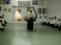 videos de New York Aikikai