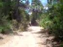promenade sentier
