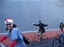 lucha libre bar bike tour