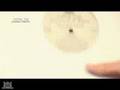 ch33 vol.1 How to 33records