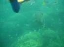Under Water on the reif