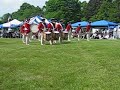 Saratoga muster Old Guard 4 Saratoga muster Old Guard 4