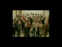 Fantozzi sbrocca sul lodo Alfano