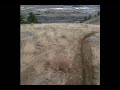 Downhill biking, Chelan Butte