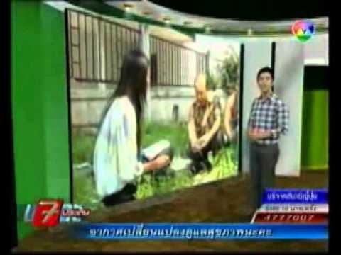 ตามทันเกษตร -