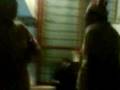 videos de VALS FOREST.3GP