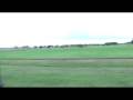 videos de Lobos video.mpg
