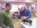 Dr. Marty Becker Offers Pet Health Advice Dr. Marty Becker Offers Pet Health Advice