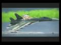 Su-33 Flanker-美希ペイント-（ACE COMBAT６）