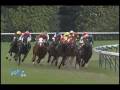 videos de [レースリプレイ] 081115 5東京3 09R 晩秋特別