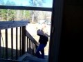 Stink Bomb Scare
