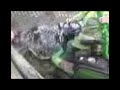 grass cutter fell into water grass cutter fell into water