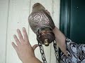Ebay Islamic Urn Ebay Islamic Urn