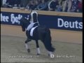 Dressage - Bond